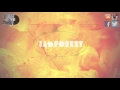 iamforest - iamforest Remix EP - Structures (iamforest Remix)