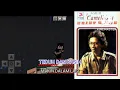 Download Lagu Ebiet G. Ade - Berjalan Di Hutan Cemara (Official Music Audio)