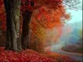 Country Road- James Taylor