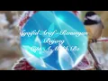 Download Lagu Syaiful Arief - Renungan Bujang Cipt.A.Malik.Bz