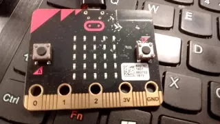 Micro bit Python simulator