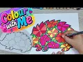 Colourful Hedgehog Colouring Page Relaxing Alcohol Markers Colour With Me