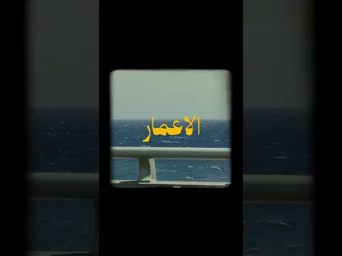 MAZAl MAZAL