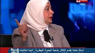الحياة اليوم   أ د  أميمة محمد قنديل   نستطيع توفير تلقيح صناعي مصري أفضل من المستورد من الخارج دندنها