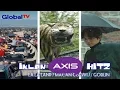 Download Lagu Global TV Indonesia | Iklan AXIS HITZ - #MasaGaHitz (Full Version) | 30s