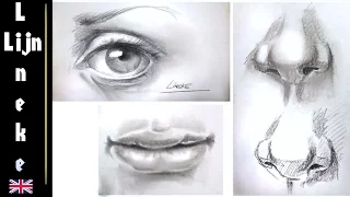 easy eye nose and mouth for beginners pencil drawing