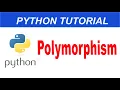 Polymorphism in Python Python Complete Course in