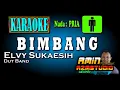 Download Lagu BIMBANG || Elvy Sukaesih || KARAOKE Nada PRIA