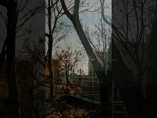 ⁣اللهم اني اسئلك سؤال من اشتدت فاقته .. #الشيخ_شبر_معله