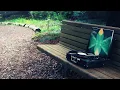 Bonobo - Cirrus