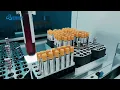 LEPU IVD Total automated workflow in laboratory