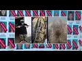 How The SFV Peckerwoods A Violent White Supremacist Gang Along With La eMe Ran Northern Cali