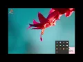 RHUB Web Conferencing - Remote Access