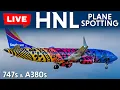 Lagu Up Close Departures at HNL/PHNL Honolulu Hawaii - Live Planespotting 12-19-25