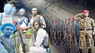 Art Caalaa Bultume WBO Fi Caalaa Bultume Bilixigina WBO Fi Raayyaa 