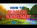 Easily Add OPs Moderators on Minecraft Servers EUGameHost Panel Guide