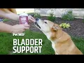 Pet MD Bladder Support