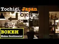 Download Lagu [BOKEH]Japan Walk - Fashionable Shopping Street in Utsunomiya, Saturday night | SONY 55mm