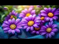 Download Lagu Самая красивая мелодия на свете! Эту музыку можно слушать вечно! До слез красивая мелодия