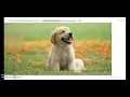 How to add an image to webpage using HTML easy lesson IMGSRC tag