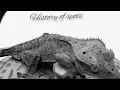 dalmatian crested gecko morph history