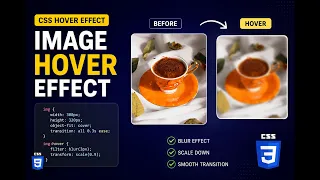 CSS Image Hover Effect Tutorial Blur Scale Hover Animation