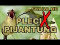 Download Lagu Masteran yang paling di cari Kwalitas Suara HQ