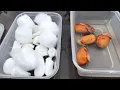 Durian seed germination in the UK, video of the complete process from start to end result