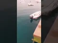 The moment a shark attacked a Russian tourist in Egypt