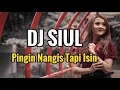 DJ SIUL PINGIN NANGIS TAPI ISIN -EKA AYU [Official Audio Lirik]