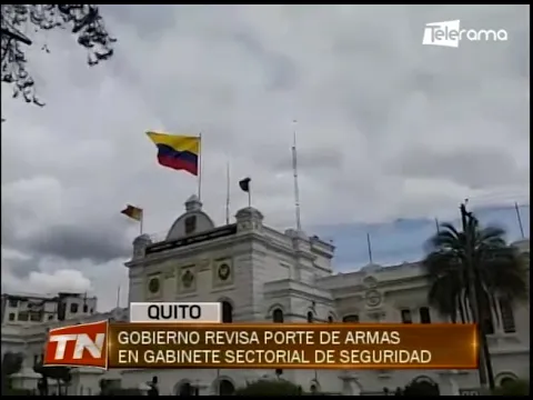 Gobierno revisa porte de armas en gabinete sectorial de seguridad