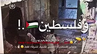 نكتب على زناد البرودة اسم الاقصى وفلسطين حالت واتس اب 