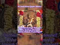 Download Lagu Sri Sudarshana Gayatri Mantra🙏Chanting the mantra fulfills a person's mental state with happiness🙏🙏