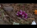 Human Composting Is Turning Remains Into Soil The Future Of Funerals