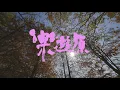 原子邦妮 Astro Bunny 【樂遊原】官方歌詞 MV (Lyric)