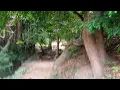 Sathurkeri mahligam