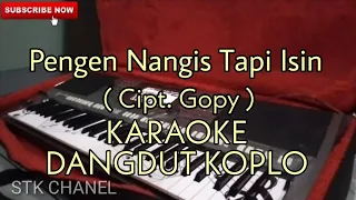 Download Pengen Nangis Tapi Isin - KARAOKE DANGDUT KOPLO MP3