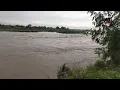 Pangasinan River continues to swell with high volumes of water brought by Typhoon Gaemi
