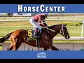 Preakness 2022 Top Contenders - HorseCenter