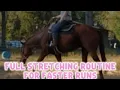 My full stretch routine as a certified massage therapist Better flexibility better barrel runs