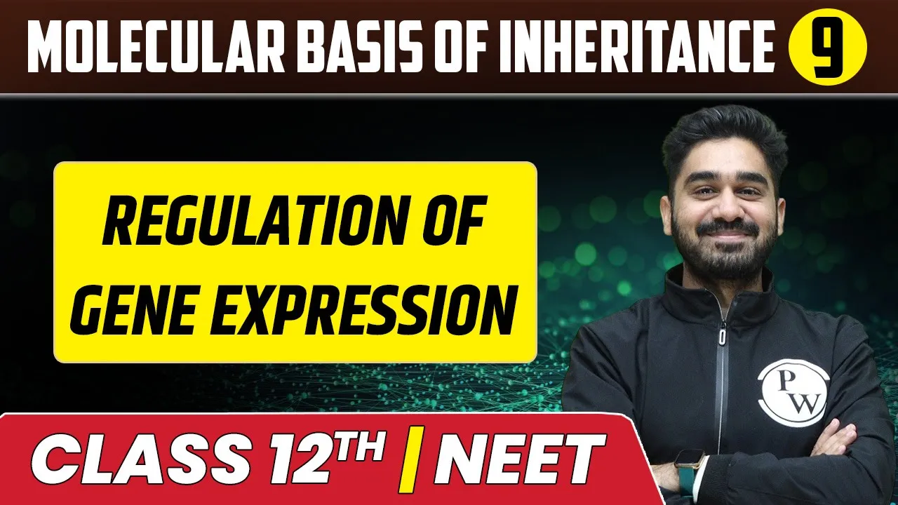 Molecular Basis Of Inheritance 09 | Regulation of Gene Expression | Class 12th/NEET