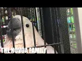 NJ Exotics - Pet Store