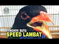 Download Lagu MASTERAN TENGKEK BUTO SPEED LAMBAT|| DURASI PANJANG
