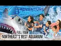 Adventure Aquarium FULL TOUR