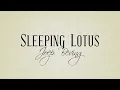 Sleeping Lotus - Joep Beving (Piano Cover)