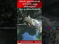 Download Lagu ജീവൻ, ഇല്ലാതാക്കാൻ, സർക്കാർ, കൂട്ടു നിൽക്കുമോ? ജനം പ്രതികരിക്കുന്നു
