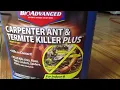 Carpenter ant bug spray pesticide insecticide