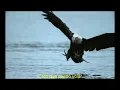 I Believe I Can Fly - Subtitulada Español.wmv