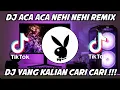 Download Lagu DJ ACA ACA NEHI NEHI REMIX VIRAL TIKTOK TERBARU 2022