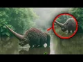 Download Lagu Back From Extinction: Animals Filmed Alive After Centuries